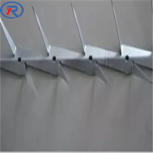 Pointes d'oiseaux pour petits oiseaux Pigeons 43 pieds de couverture Kit de pointes d'oiseaux en métal en acier inoxydable avec broches non installées - Product Image 2