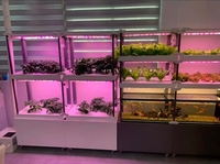 Système de culture hydroponique automatique Seedafarm pour balcon, aquaponie verticale, culture sans sol à flux oscillant, pour légumes et fraises