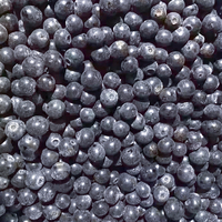 Hoge kwaliteit bulk IQF diepvriesblauwe bessen 10kg fruitverpakking Goede prijs voor hoogwaardig diepvriesfruit