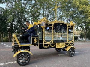 Nouvelle carrosse funéraire électrique européen à 4 roues personnalisable - Product Image 6