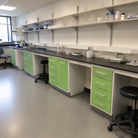 Table de laboratoire multi-rangements anti-éclaboussures avec plan de travail en résine époxy pour préparation d'échantillons et mobilier de laboratoire médical