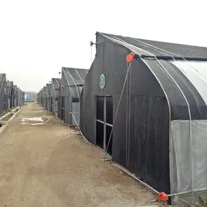 2024 cheap price high tunnel greenhouse for agriculture growing mushroom with shade net