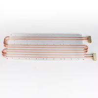 Sistema de Enfriamiento de Agua de Acero Inoxidable Marca Bw Personalizado, Bloque de Enfriamiento de Agua y Placa Fría con Tubo de Cobre, 1 Año de Garantía