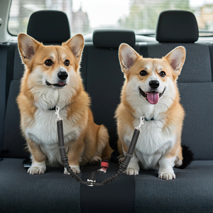 Doble nailon elástico Bungee Buffer cinturón de seguridad correa de perro cinturón de seguridad <span class=keywords><strong>para</strong></span> coches distracción segura Conducción libre - Product Image 6