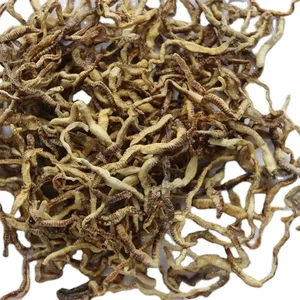 Sıcak satış ince işlenmiş dondurularak kurutulmuş pelet şekli 100% doğal Protein balık gıda solucanlar için cilt ve ceket sağlık - Product Image 1