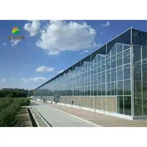 Intelligente Glas Gewächshaus Hydrokultur Wachsen Mit Tropf Bewässerung System Gewächshäuser Für Verkauf