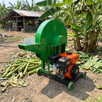 Broyeur de bananiers diesel de petite taille, lame en acier au manganèse robuste, concasseur de tiges de plantains pour l'élevage agricole tropical