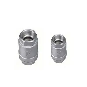 Stainless Steel 304 316 Female Thread 1PC Spring Vertical Check Valve