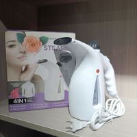 Défroisseur Vapeur Électrique Vertical Portable pour Vêtements et Visage