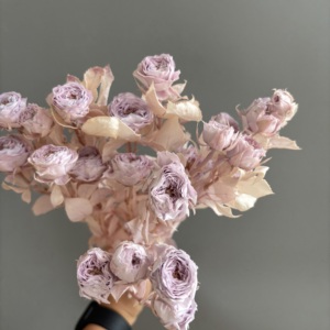 Lot en gros de 20 tiges/têtes de roses <span class=keywords><strong>éternelle</strong></span>s préservées par pulvérisation – Plus de 10 couleurs assorties, fleurs réalistes pour DIY, fleuristes et mariages - Product Image 6