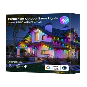Fabricant Smart RGBIC Permanent Extérieur Étanche LED Lumières PVC Matériel Fantaisie Vacances Noël Décor Point Lumières
