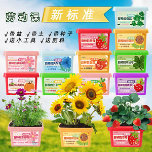 Boîte d'observation des plantes Xiaohua pour enfants, kit de culture DIY, kit de graines de tournesol et de fraises, jouet d'exploration de la nature pour enfants - Product Image 4