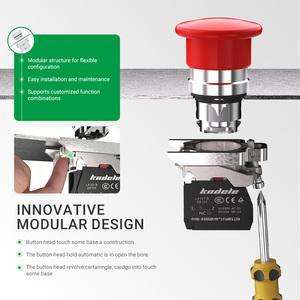Interruptor de Botón Personalizado con Cabeza de Hongo XB4-BC35/BC45, Interruptor de Botón Metálico Pequeño - Product Image 4
