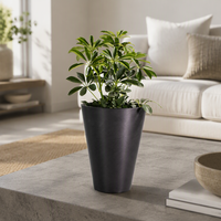 Pot de fleurs en plastique noir à prix d'usine, différentes couleurs, pour extérieur, maison, jardin, jardinière en plastique faite à la main