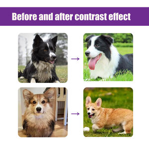 Vente en gros de <span class=keywords><strong>shampoing</strong></span> anti-démangeaison pour chiens et chats avec formule <span class=keywords><strong>antifongique</strong></span> fabriquée pour la salle de bain - Product Image 5