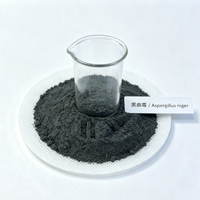 Poudre de spores d'Aspergillus Niger 5 milliards UFC/g, conservable six mois, enzymes de qualité alimentaire pour l'élaboration de fourrage pour ruminants et volailles