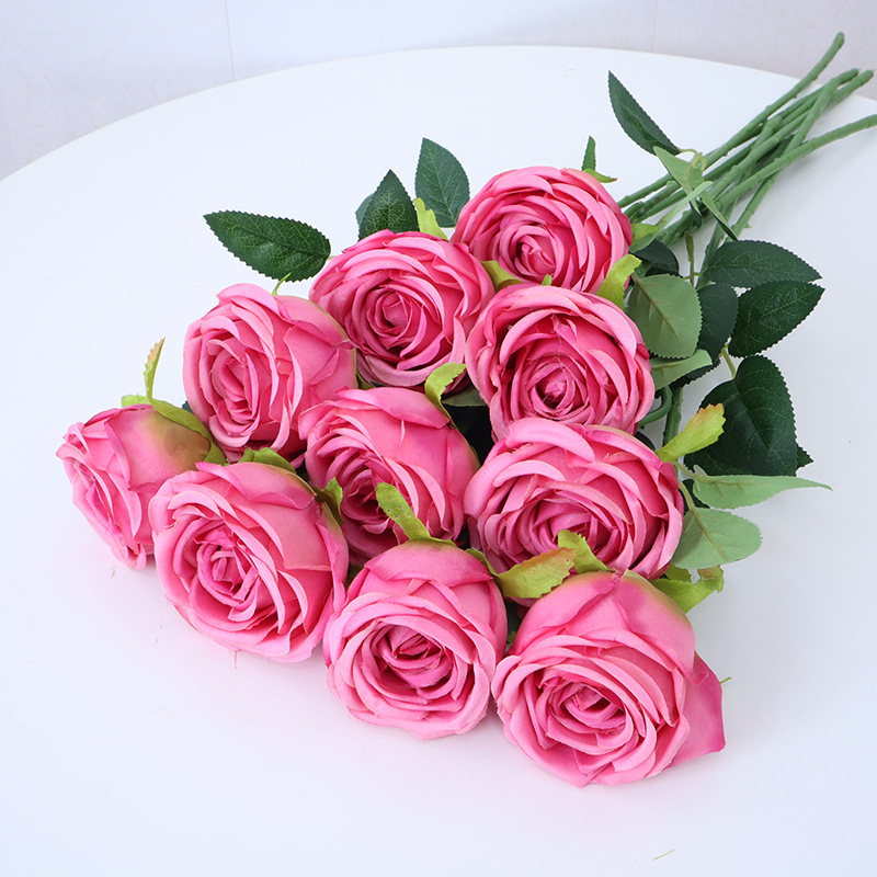 rose red
