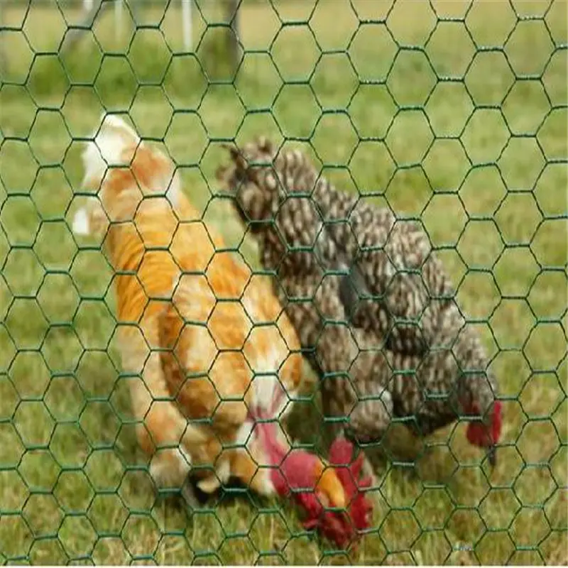 Altıgen tavuk teli Mesh hayvan kafesi çit kümes teli Metal örgü 6ft tavuk çit
