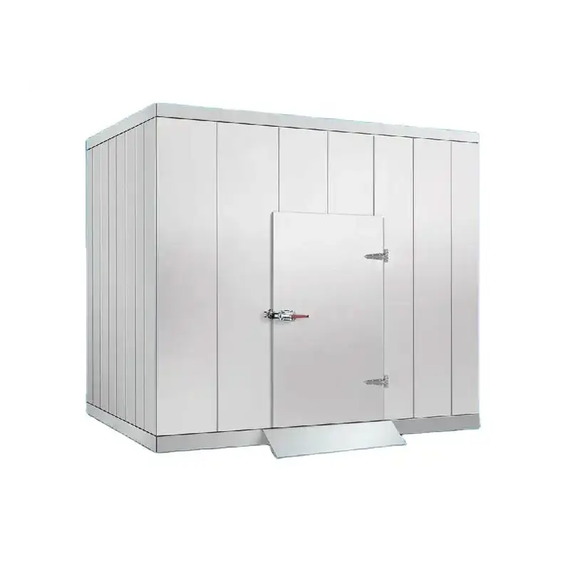 Sala de armazenamento frio personalizada com refrigerador, refrigerador, alimentos congelados, compressor 220V, novo condicionado, 20 pés e 40 pés