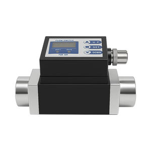 DN10 デジタル可変面積式ガス流量計 工業・研究室用 OEMカスタマイズ可能 様々なパイプ径対応 - Product Image 2