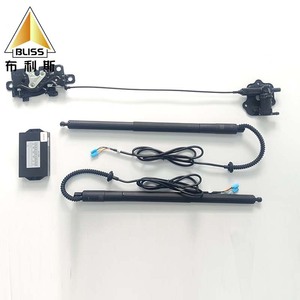 <span class=keywords><strong>Vérin</strong></span> hydraulique <span class=keywords><strong>de</strong></span> <span class=keywords><strong>hayon</strong></span> électrique pour BYD Tang 2018-2024 - Product Image 6