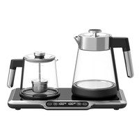 Bouilloire électrique portable Hotsy pour le voyage, petite bouilloire en verre, chauffe-lait, samovar, machine à faire du thé, contrôle du thermostat
