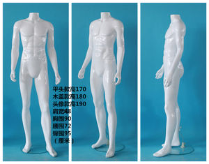 พลาสติก Pp Hdpe ชายหญิงเด็กครึ่งเต็มรูปแบบร่างกายนางแบบเป่าเครื่องปั้นเป่าเครื่องเป่า - Product Image 3