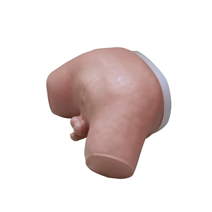 DARHMMY前立腺検査マネキン医療科学トレーニングツール手術検査モデルBOU/L63中国製（上海） - Product Image 2