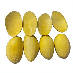 Pulpe de mangue surgelée IQF, couleur jaune clair, goût naturellement sucré, emballée sous vide, en vrac, biologique, emballage en carton - Product Image 1