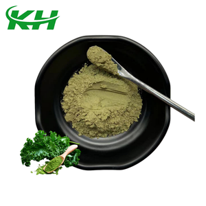 Estratto di Cavolo Verde in Polvere di Alta Qualità per Alimenti, Estratto di Cavolo Verde Biologico in Polvere 10:1 - Product Image 1