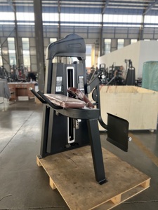 Máquina <span class=keywords><strong>de</strong></span> Glúteos <span class=keywords><strong>para</strong></span> Ejercicios <span class=keywords><strong>de</strong></span> Extensión <span class=keywords><strong>de</strong></span> Cadera, Equipo <span class=keywords><strong>de</strong></span> Entrenamiento <span class=keywords><strong>de</strong></span> Fuerza <span class=keywords><strong>para</strong></span> <span class=keywords><strong>Gimnasio</strong></span> Comercial - Product Image 5