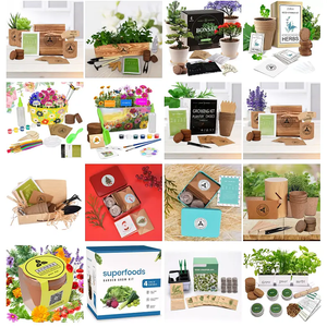 Venta al por mayor de productos de jardinería Bonsai Tree Kit Bonsai Tool Set Interior Jardinería Kit Bonsai Starter Kit - Product Image 6