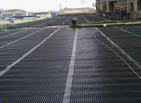 Planche de drainage pour toiture verte en HDPE, système d'étanchéité et de drainage pour jardins scolaires et drainage routier haute densité