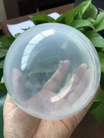 Capsules transparentes en plastique écologique à torsion, coquilles d'œufs, balles creuses pour machine à monnaie Gacha, 100 mm, directement de l'usine