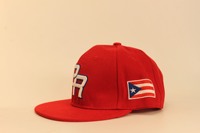 Casquette de baseball Porto Rico PR brodée, style sportif à 6 panneaux et visière plate, unisexe, pour toutes les saisons, avec lettres anglaises, pour l'extérieur