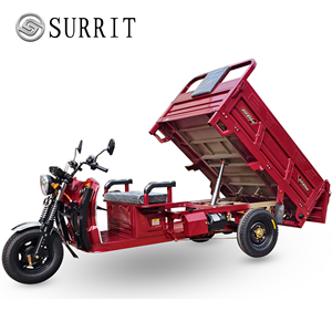 Tricycle électrique de transport de marchandises à suspension intégrale et différentiel, directement de l'usine - Product Image 1