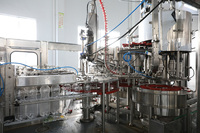 Machine de traitement automatique de l'eau gazeuse / équipement d'embouteillage de boissons gazeuses / usine d'embouteillage de boissons gazeuses