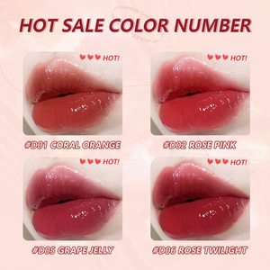 Venta al por mayor Etiqueta Privada impermeable espejo de larga duración Labial Glair señoras juegos de maquillaje de esmalte de labios - Product Image 4