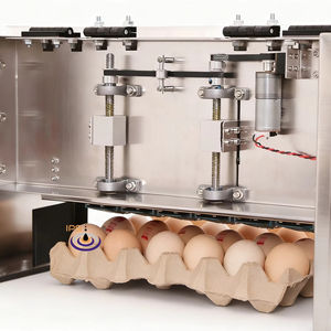 Machine d'impression à jet d'encre automatique pour plateau à œufs de poulet, <span class=keywords><strong>code</strong></span>, logo, date d'expiration - Product Image 1