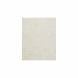แผ่นไม้ทนไฟกันน้ำสำหรับตกแต่งภายในบ้าน (WJP_SSB) ทันสมัย - Product Image 2