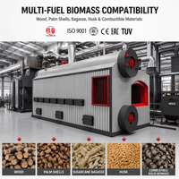 Chaudière de gazéification de biomasse à combustible de balles de riz et de paille pour usine de transformation alimentaire – Approvisionnement direct fabricant