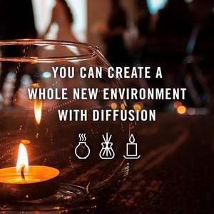 10ml Private Label <span class=keywords><strong>timo</strong></span> 100% puro organico <span class=keywords><strong>olio</strong></span> essenziale Multi-uso <span class=keywords><strong>capelli</strong></span> corpo <span class=keywords><strong>olio</strong></span> all'ingrosso nuovo naturale - Product Image 6