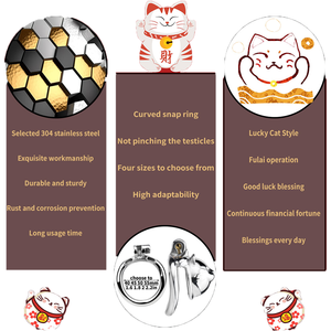FRRK acciaio oro e scheggia gatto maschio gabbia di castità maschio bondage SM fermare <span class=keywords><strong>l</strong></span>'erezione giocattolo del <span class=keywords><strong>sesso</strong></span> <span class=keywords><strong>per</strong></span> <span class=keywords><strong>l</strong></span>'<span class=keywords><strong>uomo</strong></span> - Product Image 3