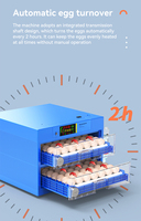 Incubateur automatique à double alimentation pour œufs de poule, de canard, d'oie et d'oiseau.