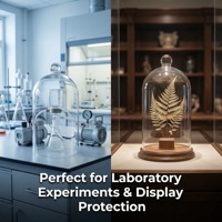 Cloche en verre borosilicate transparent à parois épaisses avec bouchon en verre taillé, équipement scientifique de laboratoire, vente en gros