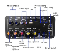 Amplificateur Mono D30 pour Récepteur Radio Entrée Double Micro USB TF Télécommande Sortie 25W DC12V/24V AC220V