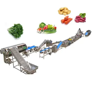 vegetable drying line vegetables line pack processing vegetables line