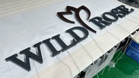 Enseignes électroniques personnalisées pour entreprises, réception, enseignes LED 3D rétroéclairées, enseignes de devanture de magasin personnalisables, logo métallique, enseignes pour bâtiments et commerces