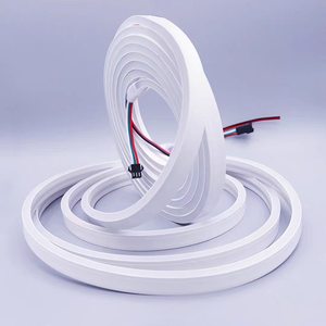 Tira de LED de Silicona de 813 mm, Flexible, con Luz de Neón, DC12V/24V, Clasificación IP67, Vida Útil de 50000 Horas, para Instalaciones Artísticas Comerciales - Product Image 1