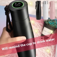 Botol termos Stainless Steel 400ml, tampilan suhu LED, pengingat cerdas Modern minum langsung untuk olahraga luar ruangan